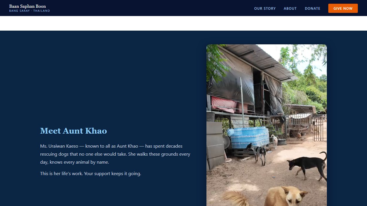 The live website